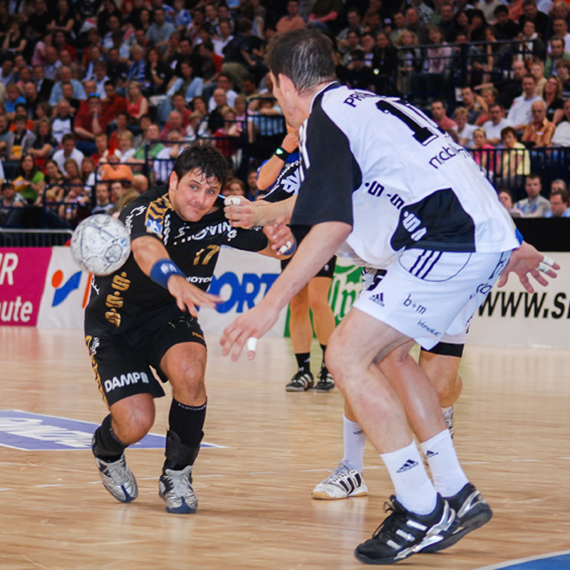 SG Flensburg-Handewitt 2006