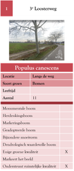 1. 3e Loosterweg