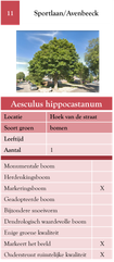 11. Sportlaan-Avenbeeck