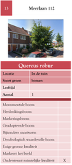 13. Meerlaan 112