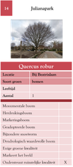 14. Julianapark
