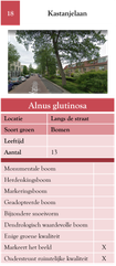 18. Kastanjelaan
