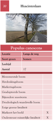 20. Hyacinthenlaan