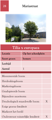 28. Mariastraat