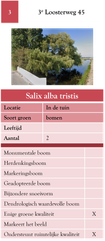 3. 3e Loosterweg