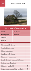 30. Pastoorslaan 108