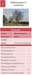 31. Wilhelminalaan-2e Loosterweg