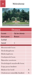 38. Molenduintje