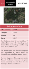 4.1 Lokhorsterduin
