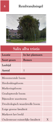 6. Rembrandtsingel