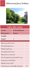 7. Hilinnenweg-Jac. Perklaan