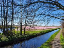 Landschappen