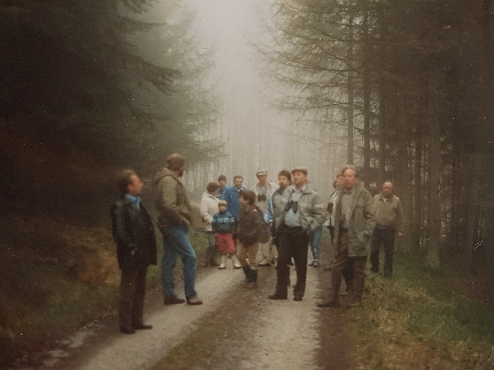Vogelstimmen 1990_3