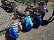 IMG-20220717-WA0021