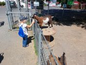 IMG-20220717-WA0024