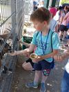 IMG-20220717-WA0043