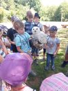 IMG-20220717-WA0064
