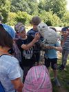 IMG-20220717-WA0067