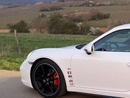 THE BEAST im Elsass