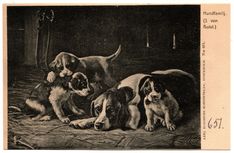 651 Hundfamilj