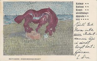 Betande ardennerhingst