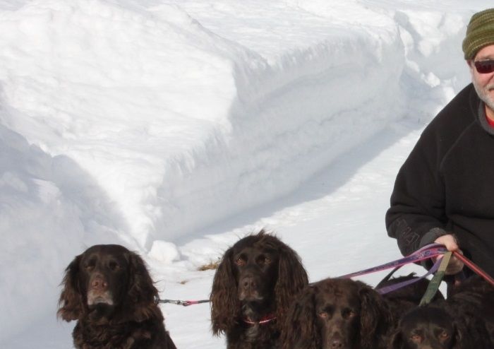 Husse Erik med Engla, Certa, Caya, Freja och vår import Reya Any-Bon.