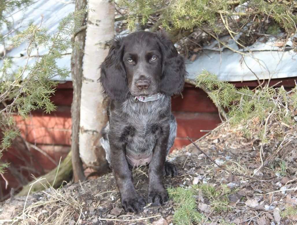 Mica 12 veckor på favoritplatsen