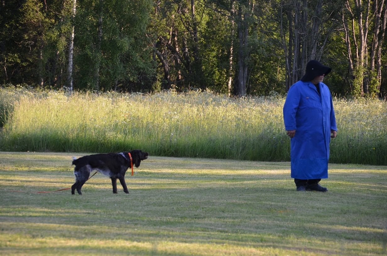 Mica på Bph, fula gubben fick utskällning. Sedan upptäckte hon att det var en människa och blev så glad.