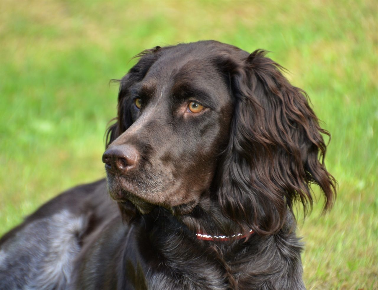 Mica huvudbild juni 2021