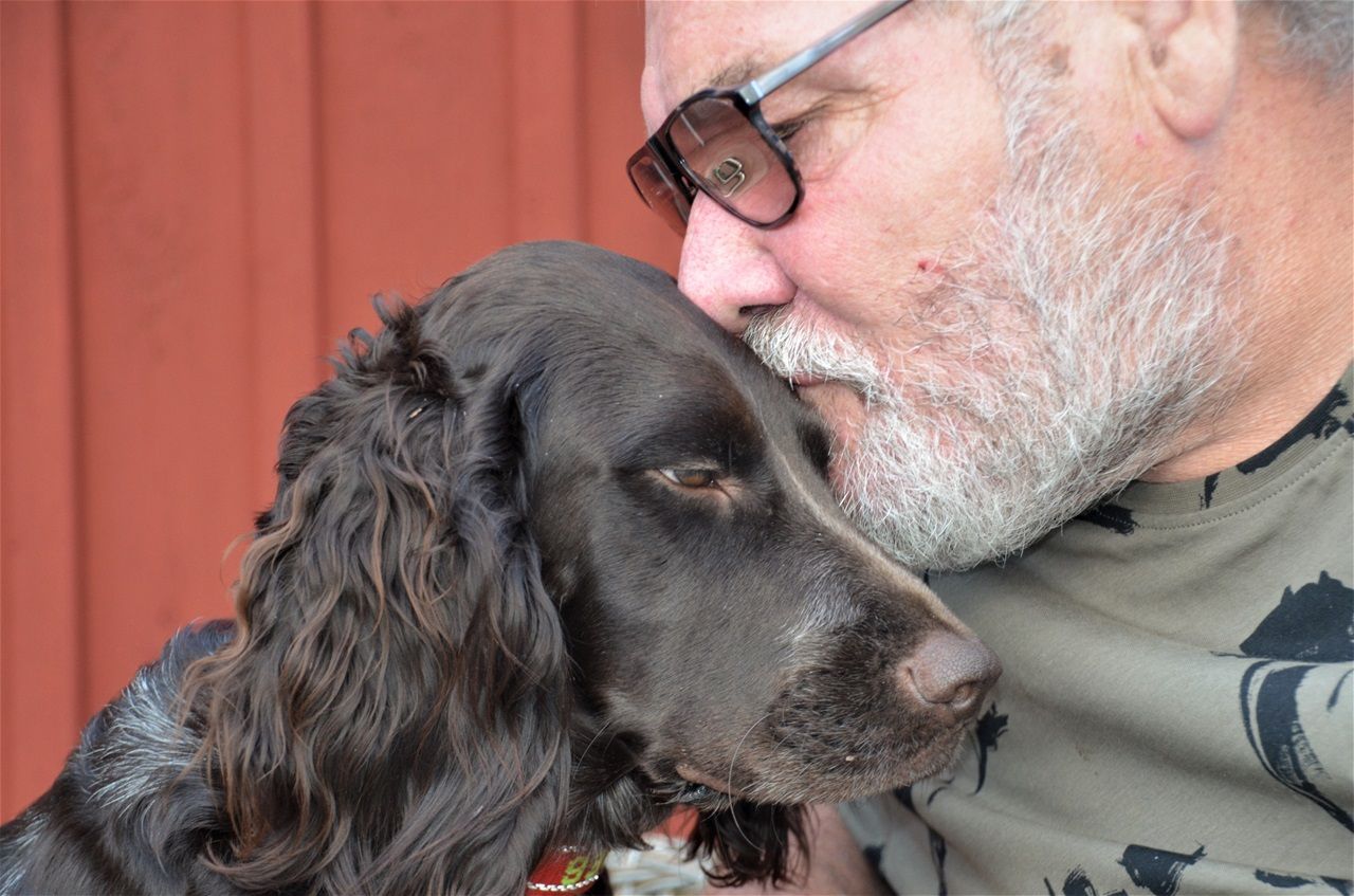 Puss go-jänta säger husse