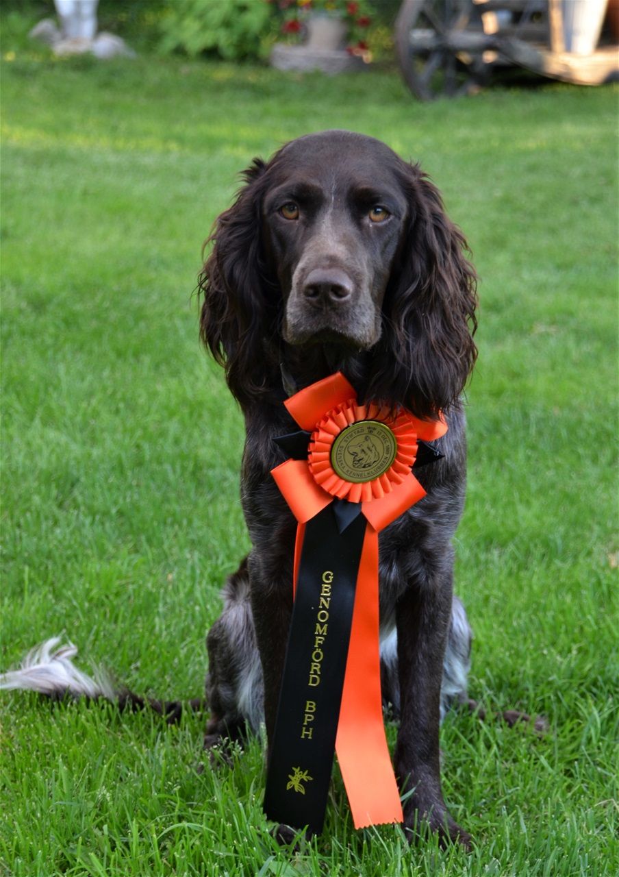 Mica har genomfört Bph