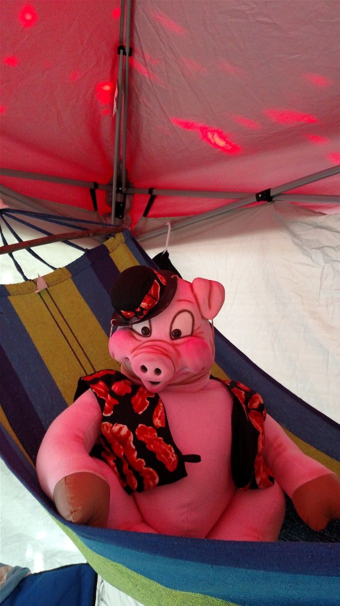 Albert Einswine enjoying his Ham-mock...