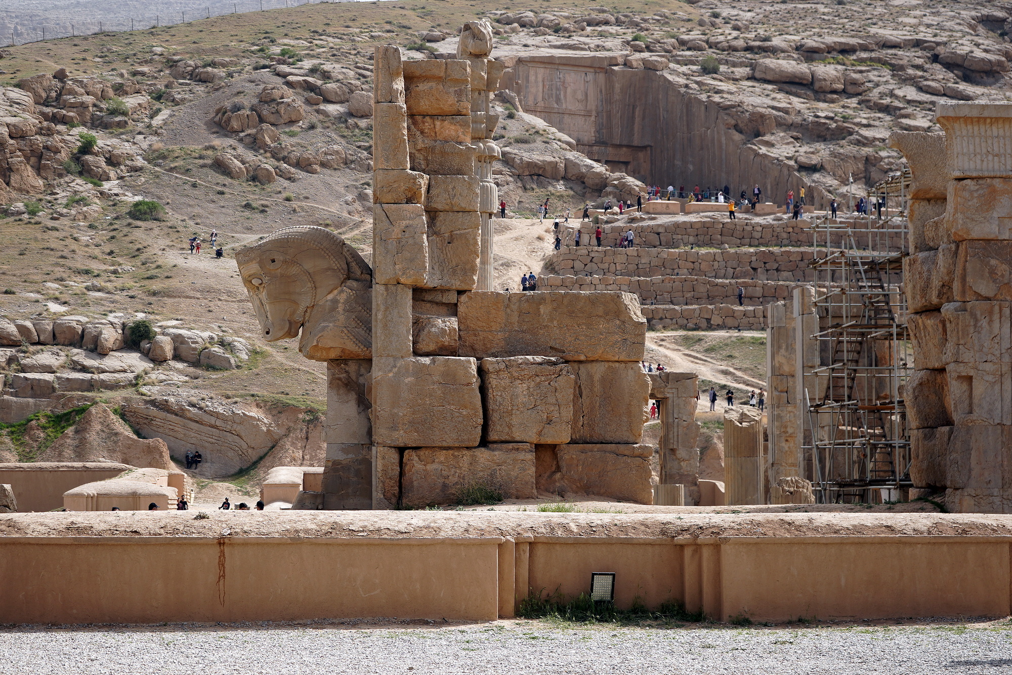 Parsa062