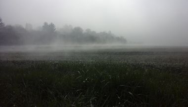 foggy_20210420_092751_1400x800