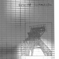 Suidcide Commando