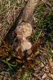260423LPI_5611-WEB