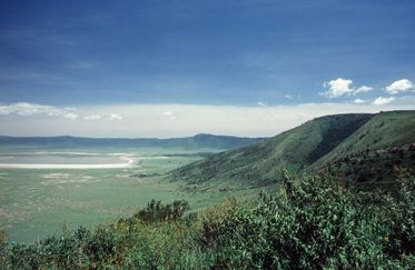 NW LAND 01