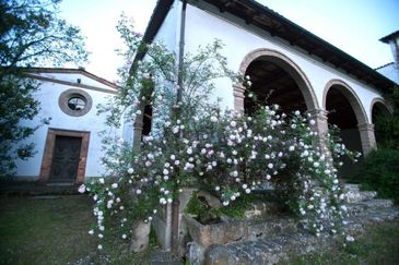 AN 19 040