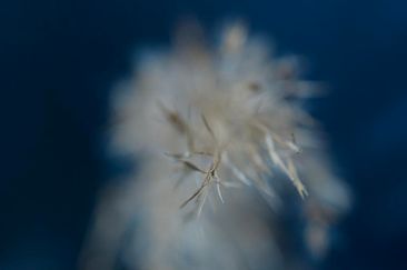 UW 18 061