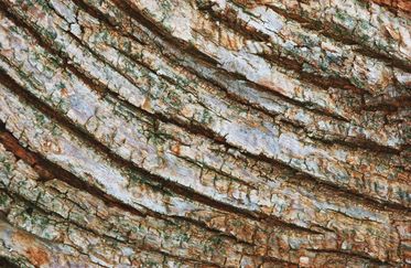 Texture 014