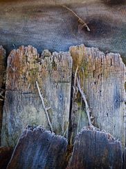 Texture 017 