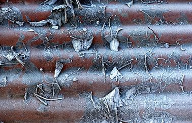 Texture 018 