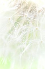 UW 18 052