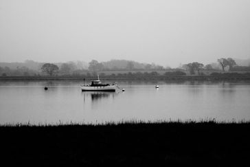 SPL BW 059 