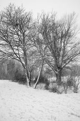 SPL BW 072