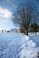 Snow 001 