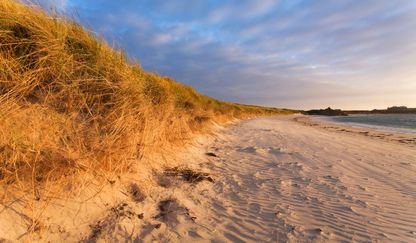GSY 011 - Port Soif Beach, Guersney - seaside - england - wall murals 