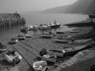 JC BW002