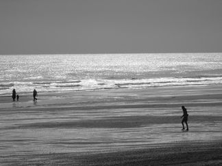 JC BW008
