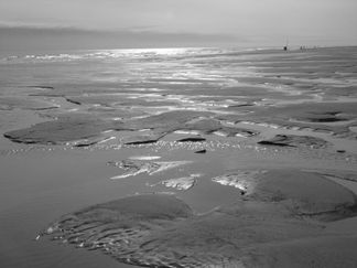 JC BW009